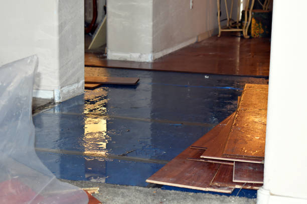 Professional Sewage Cleanup technician working in Elsah, IL